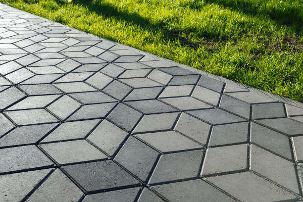 Best Driveway Pavers Near Me  in Robersonville, NC