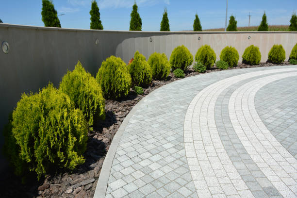 Best Concrete Paver Driveway  in Robersonville, NC