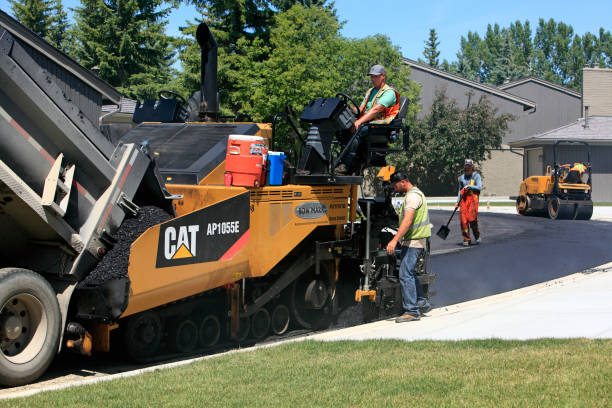 Best Custom Driveway Pavers  in Robersonville, NC